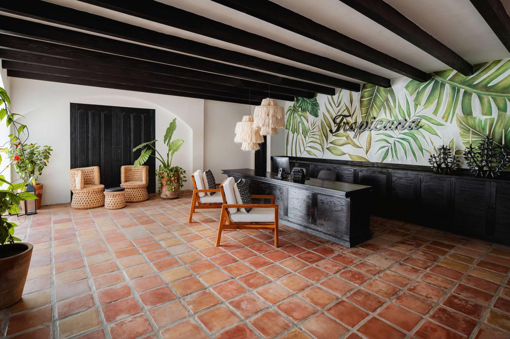 Tropicana Los Cabos, Tapestry Collection By Hilton San José del Cabo Eksteriør billede